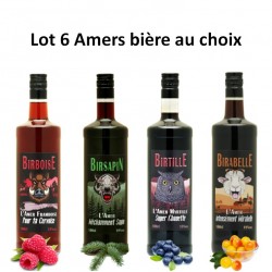 Amers bière au choix - 18% 100cl - lot de 6 bouteilles