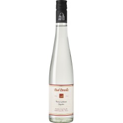 Gingembre 43% 50cl